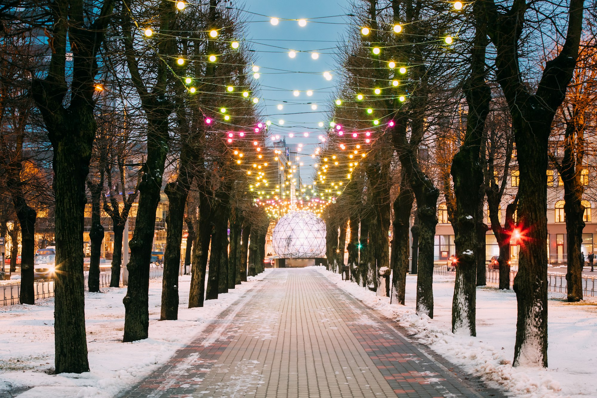 a walkway with trees and lights